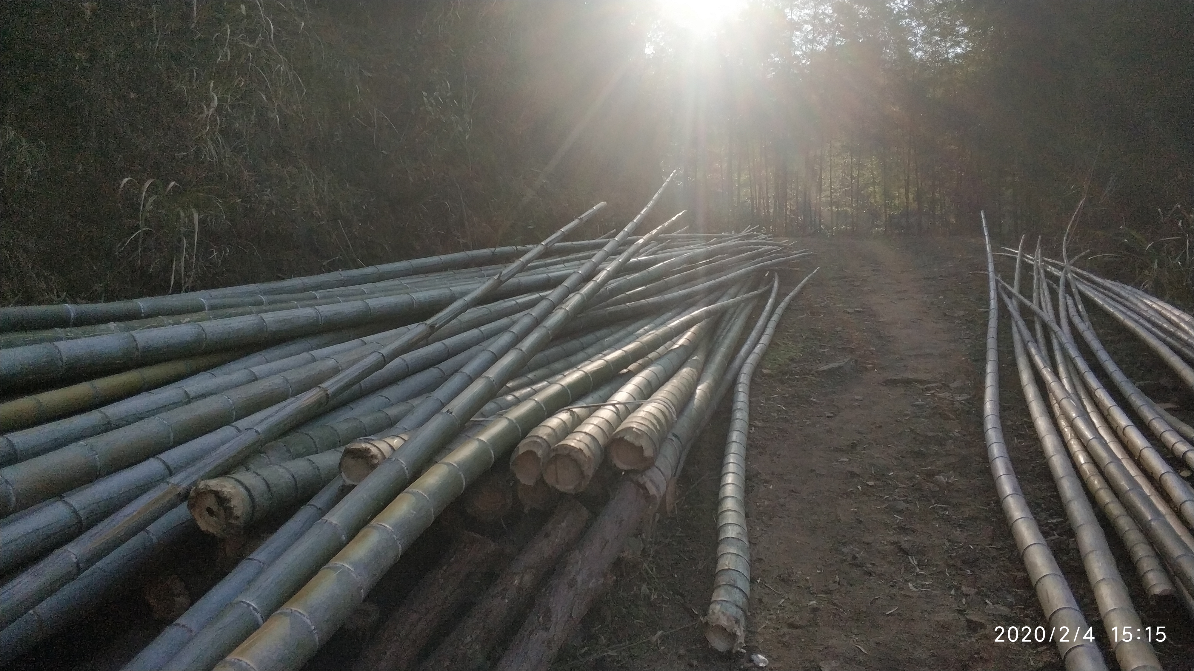 给大家展示一下什么叫做“金山药岭名茶地，竹海栗园水电乡”