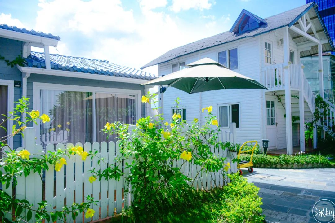 笋岗玩具批发,笋岗玩具市场