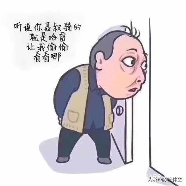 为什么这么多人喜欢快船,为什么这么多人喜欢哈雷883