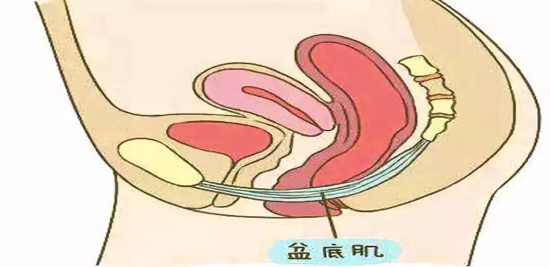 产后漏尿可自愈办法,一位母亲产后抑郁漏尿