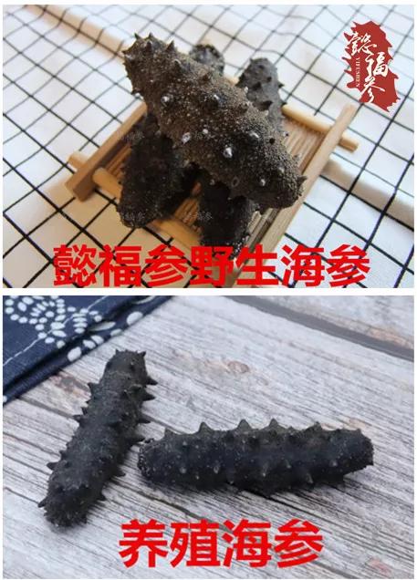 什么样的海参是比较好的海鲜,什么样的海参质量好有养分