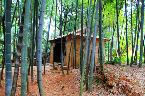 鄱湖之秋,鄱湖之滨信江之畔余干