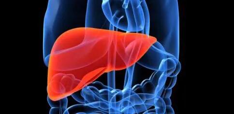 胆红素正常转氨酶高会是肝衰竭么,胆红素升高引发肝性脑病和黄疸