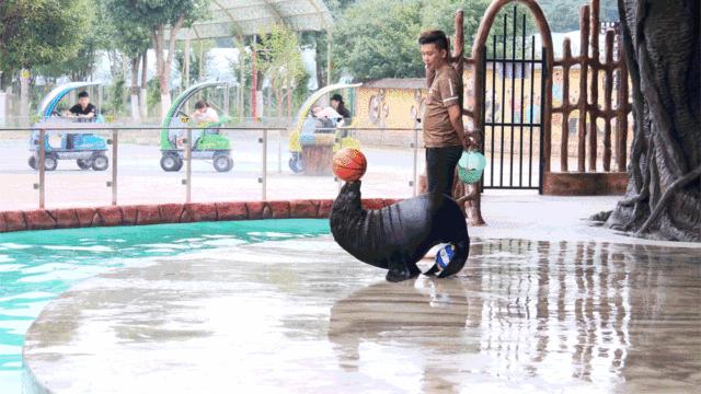 田园嘉乐比-国庆献豪礼！乐园超值游玩攻略