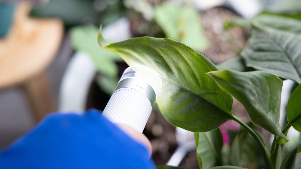 当当狸智能显微镜儿童便携式,当当狸智能显微镜测试