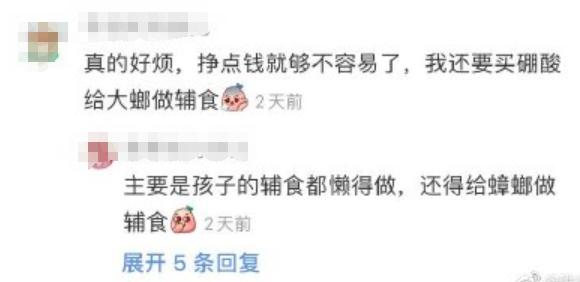 巨型蟑螂南方大蟑螂,广东巨型蟑螂和北方蟑螂对话