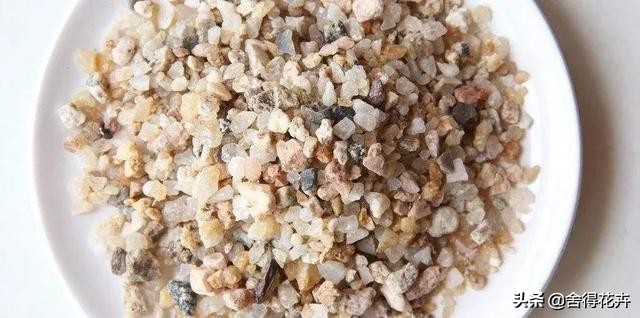 养花的铺石有哪些种类,养花石怎么种植好呢