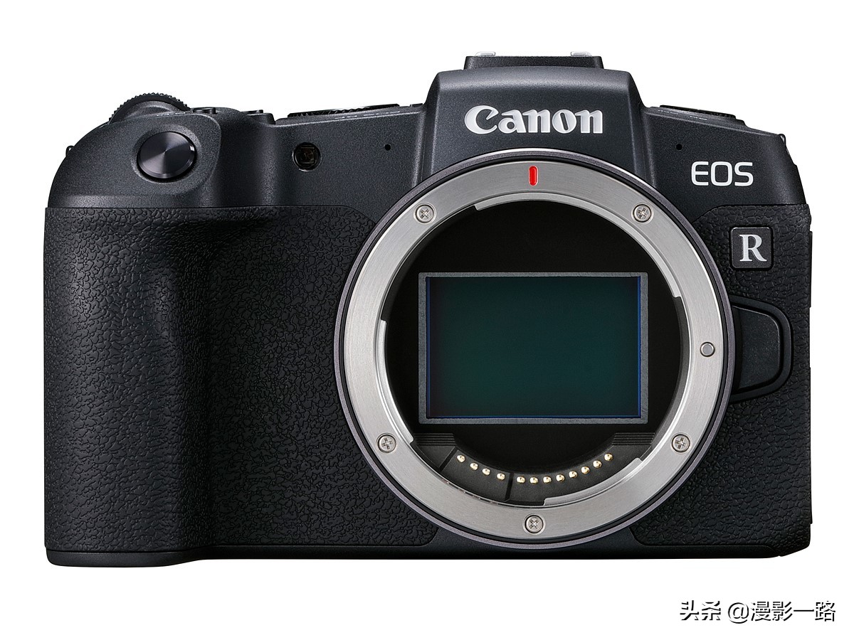 佳能全幅微单eosr可以拍鸟吗,佳能全画幅eosrp
