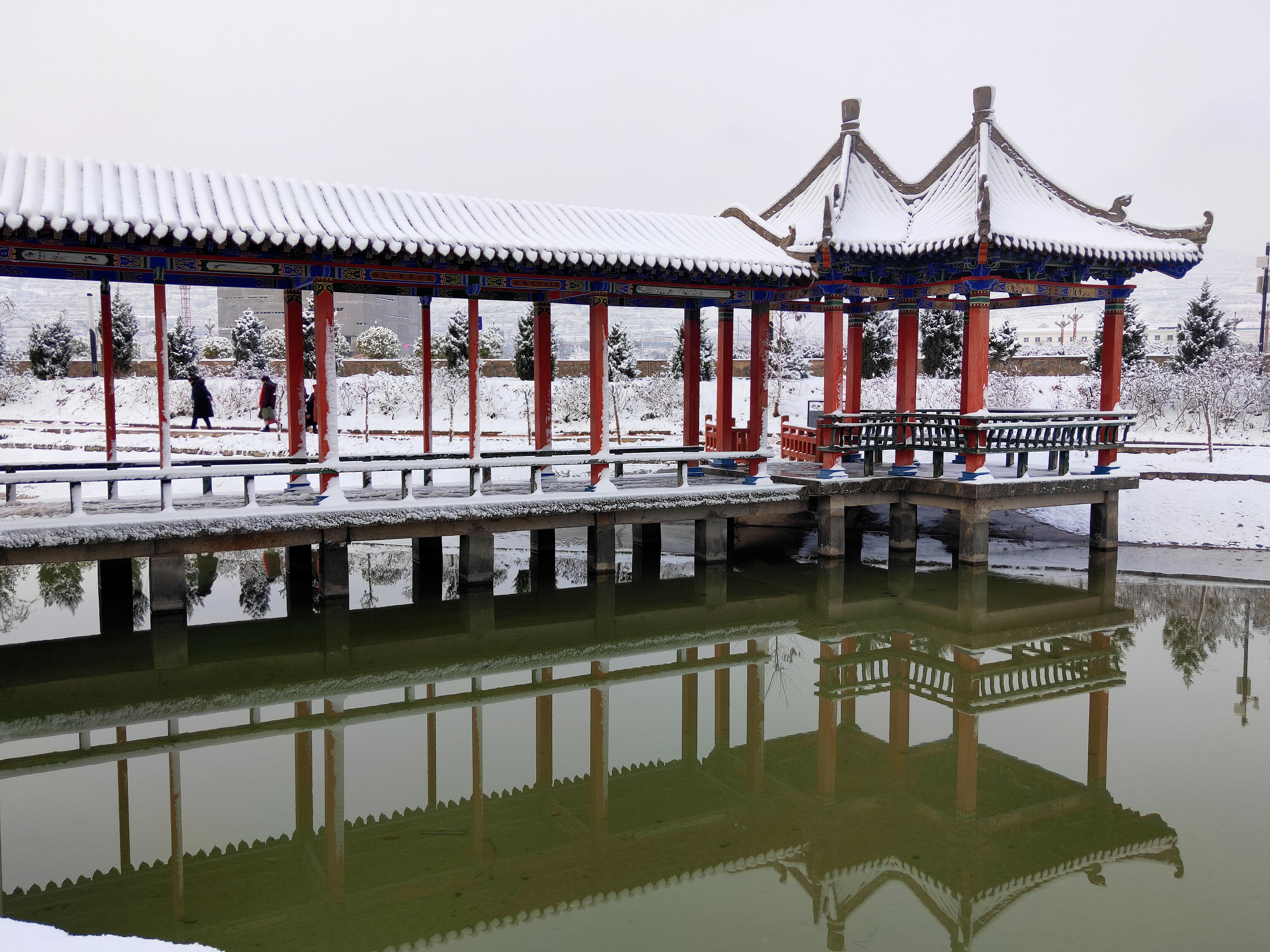 甘肃省2020年正高级教师评审条件,2021甘肃正高级教师通过名单