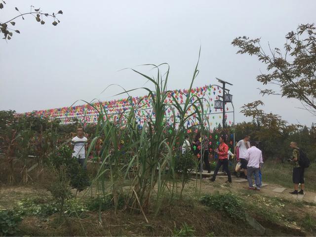 外嫁女能分土地补偿款吗,外嫁女户口在娘家土地该如何确权