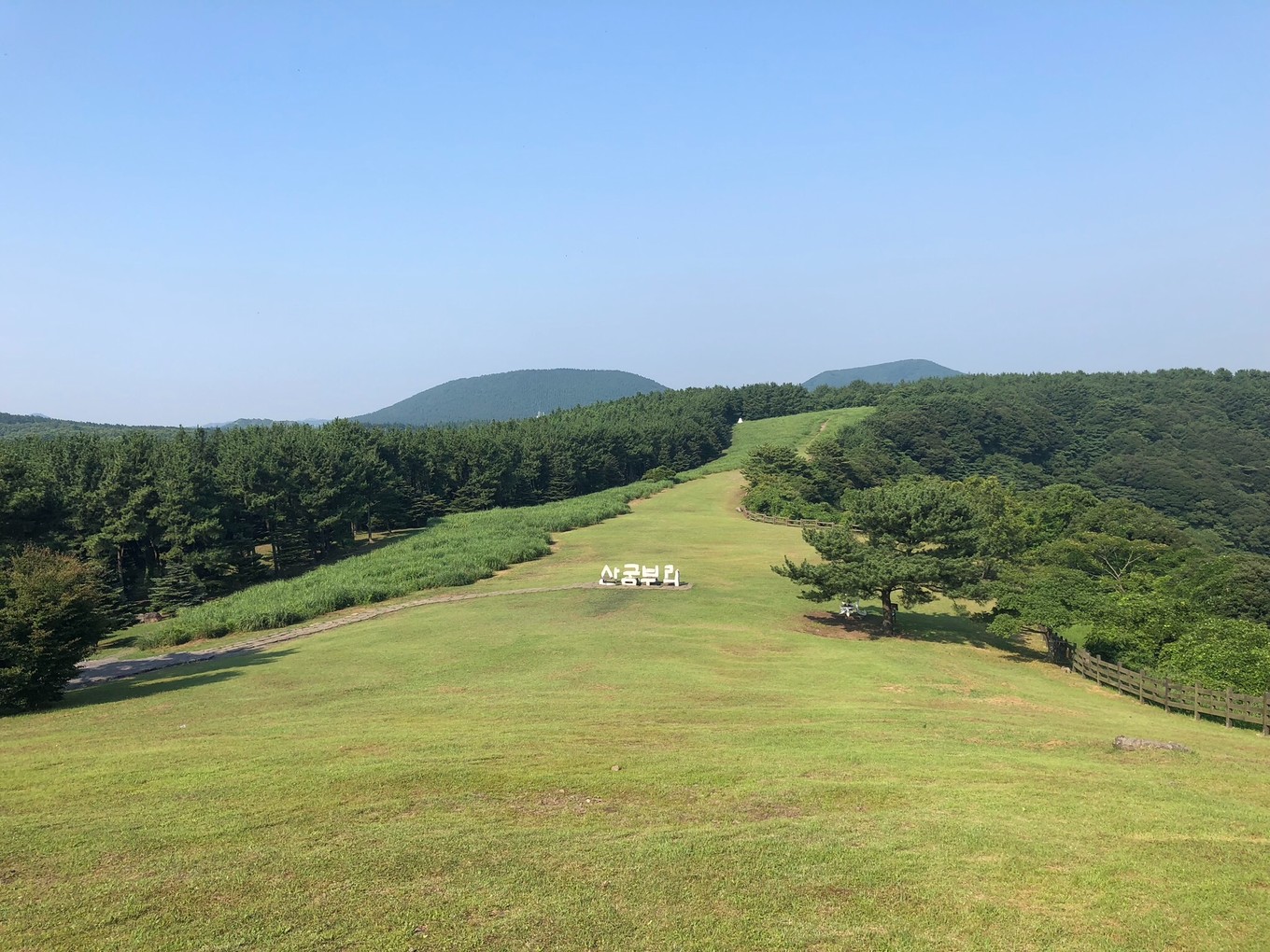 不会韩语去济州岛怎么自由行,济州岛两天旅行攻略