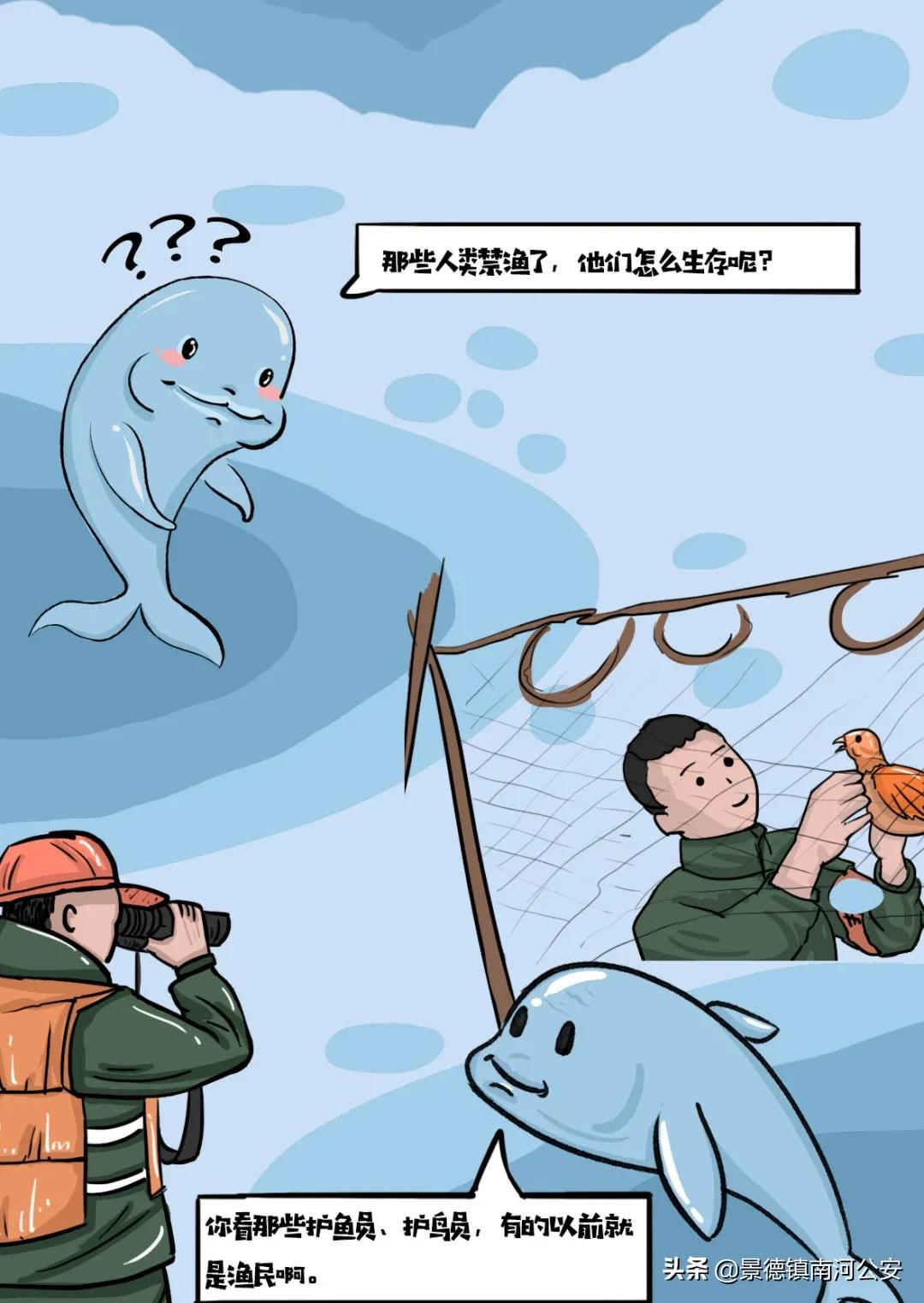 赣江一江两岸视频,赣州赣江最新视频