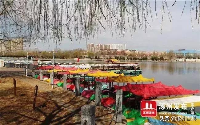 涿州华阳路东兴街最新消息,涿州最新复工通知