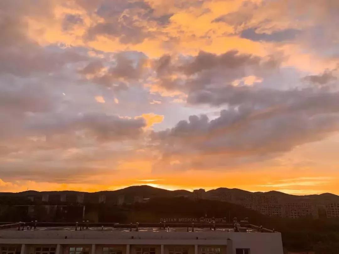 辽宁省高校（三十一）大连医科大学