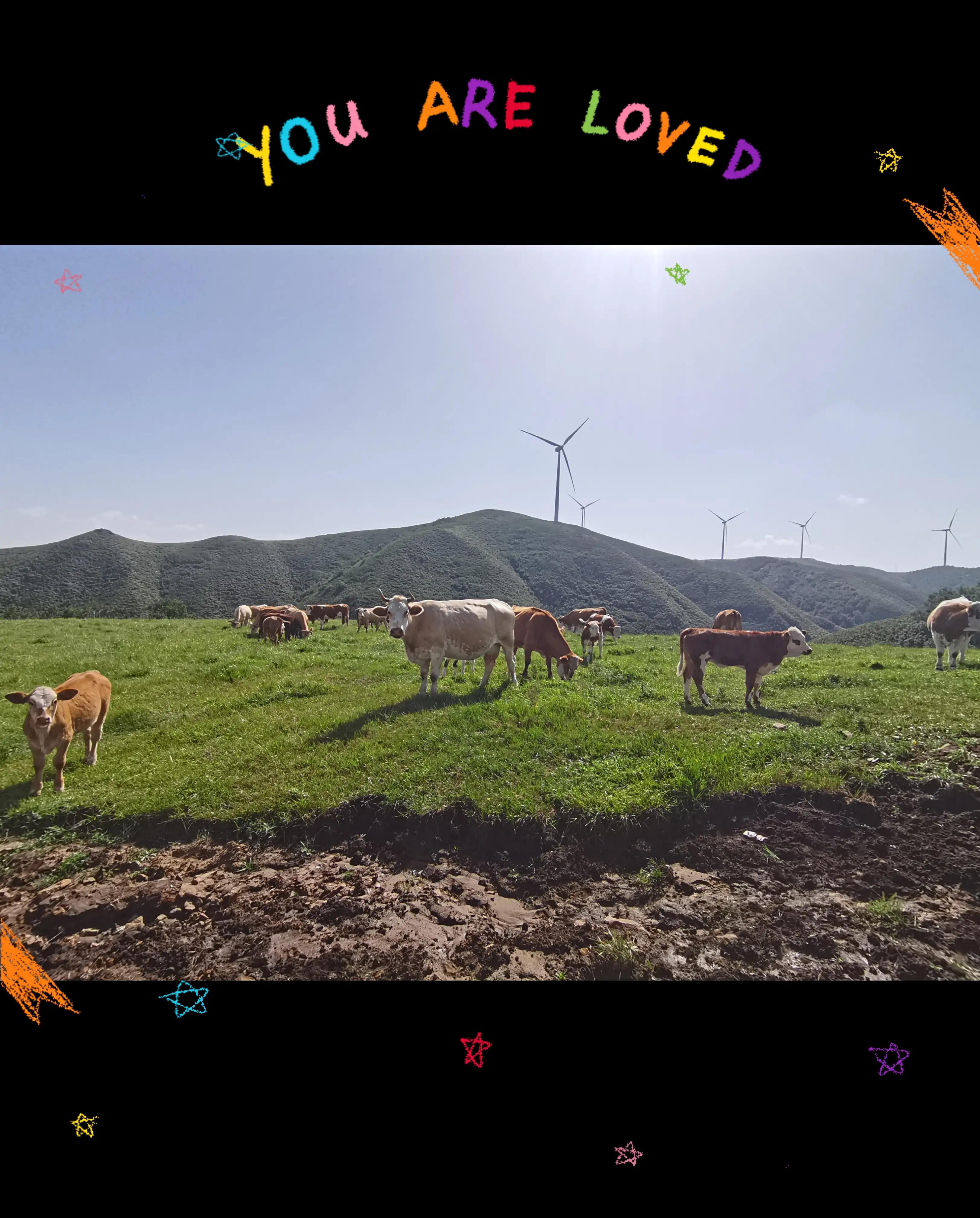 草原天路精彩视频,草原天路