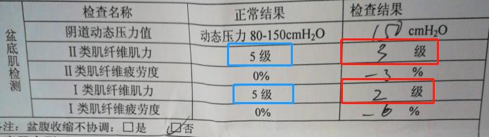 孕产康复|图解盆底肌肌力测试报告