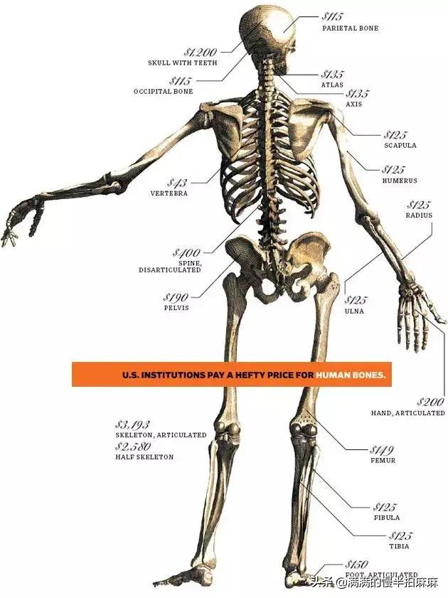 富二代晒人骨皮包的真相完整版,富二代晒人骨皮包图片