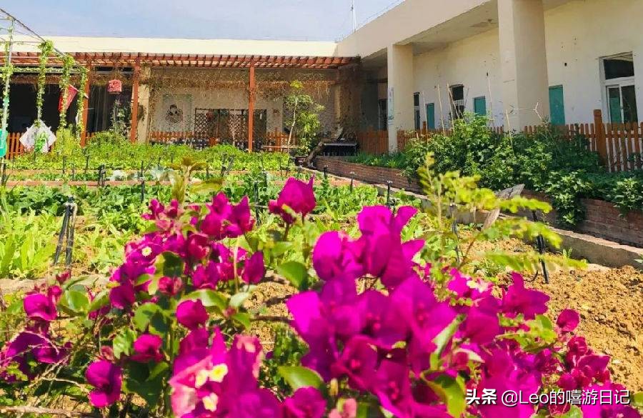 让孩子体验农耕生活的地方,儿童农耕生活体验