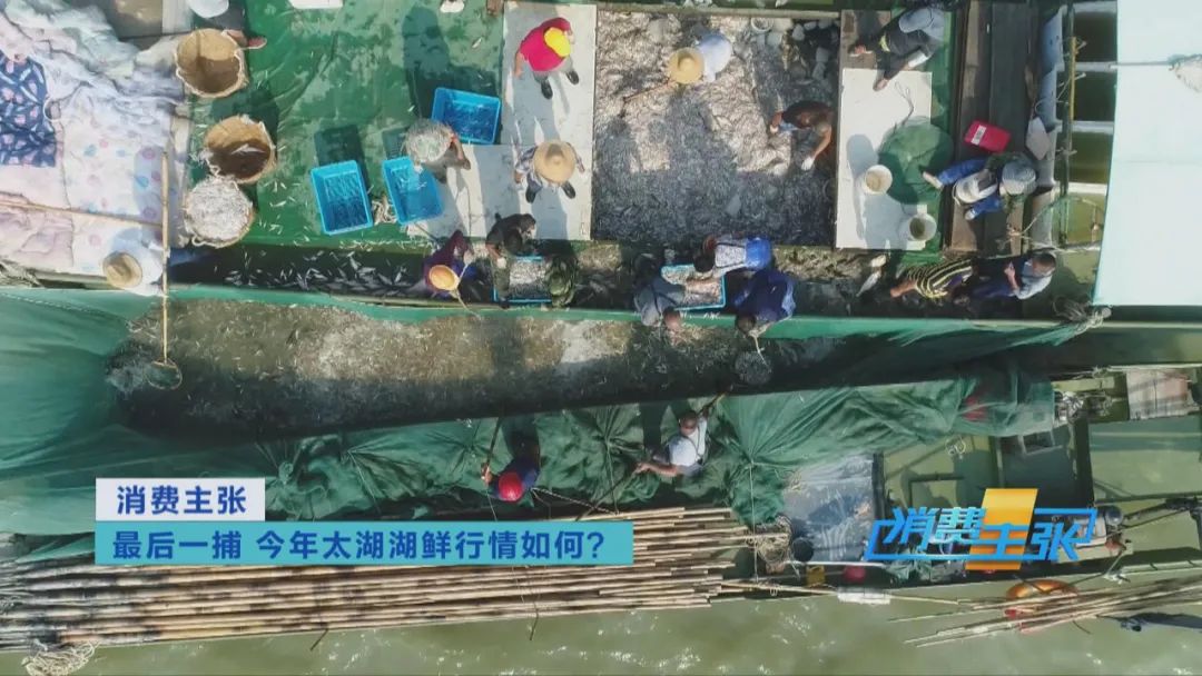 直击太湖开湖现场！鲜美湖鲜大量上市，资深吃货准备好了吗？