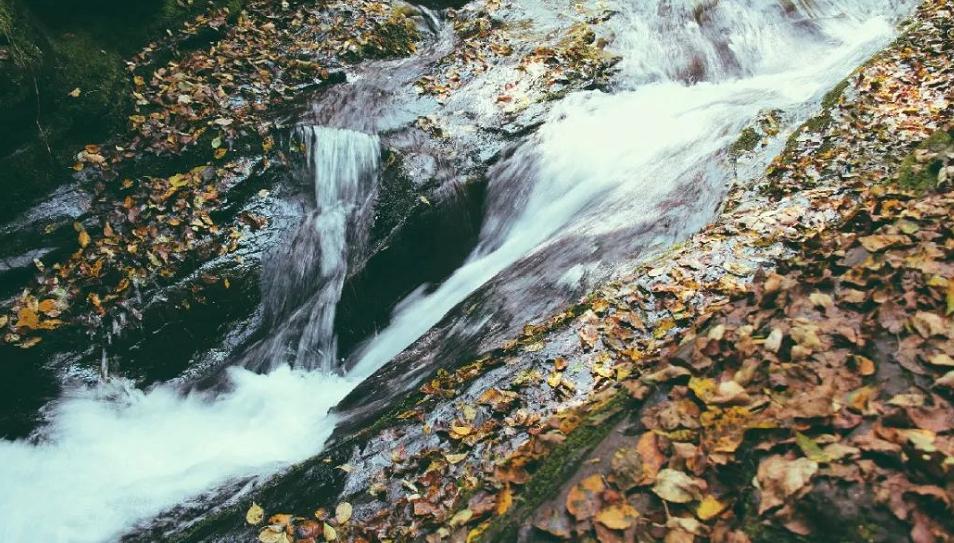 清秋六盘,雅韵唯美,且看宁夏“母亲山”秋色如何养眼怡耳悦心