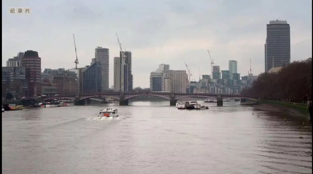 红点设计大奖和if有什么区别,国际设计红点奖