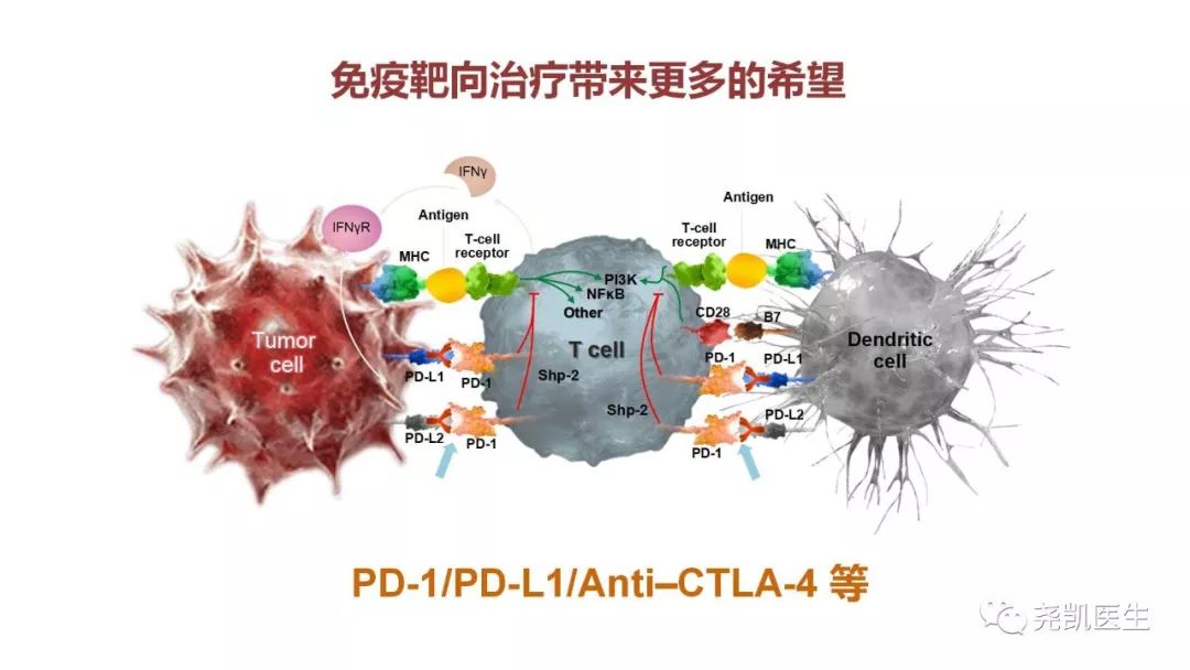 肾脏有包块饮食应注意什么,肾包块是什么