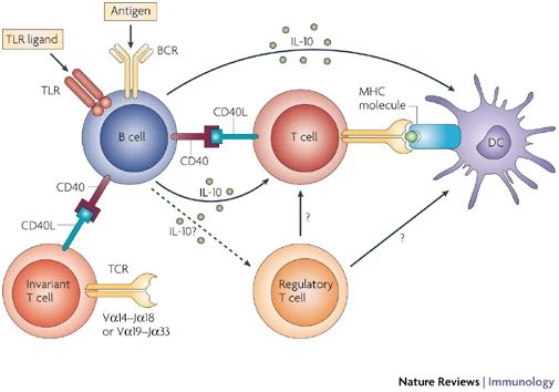攻克癌症的成功案例,攻破癌症40年