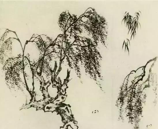 怎么画树最简单而且还最好看,怎么画树才更真实