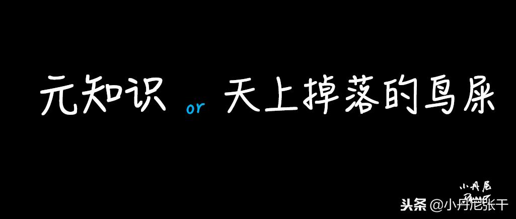 「小丹尼」你又不懂技术，凭什么领导我，还比我挣得多？