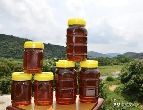 揭露蜂蜜的真相,揭露造假蜂蜜