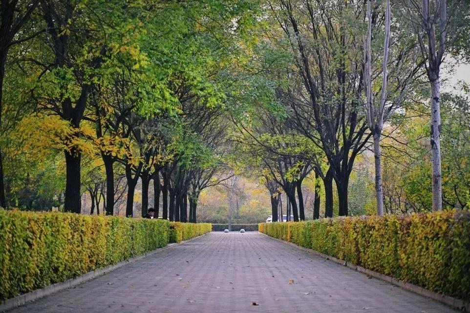 沈阳理工大学辽宁工程技术大学,沈阳理工大学专科院校