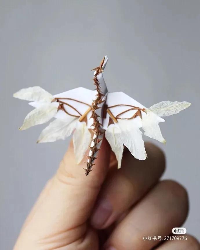 芜湖探店：小意达的花园——让鲜花芬芳你生活的每一个角落