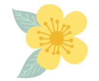 人少还免门票！深圳这片5000000㎡新公园美翻了，“神仙花谷”