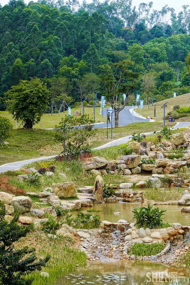 深圳龙华公园对外开放了吗,深圳市龙华新开的公园