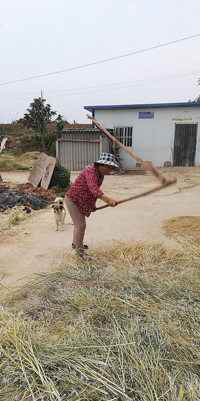 我眼中最美的乡村风景400字,我眼中的最美乡村