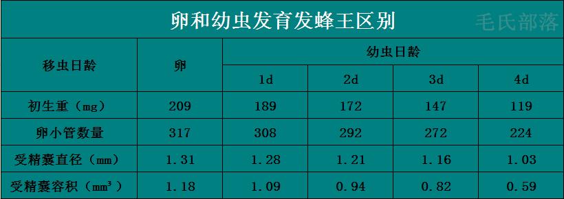 蜜蜂养殖技术交流培育蜂王,蜜蜂继箱培育蜂王怎么样