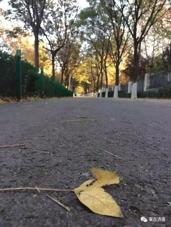 济南领秀城柏石峪,济南领秀城