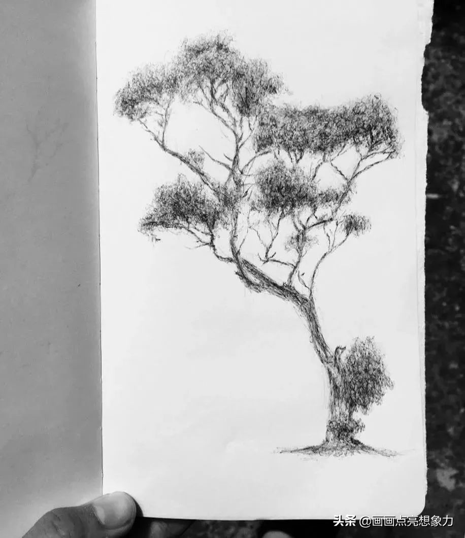 购物小票居然秒变名画？果然是天才少年的神操作