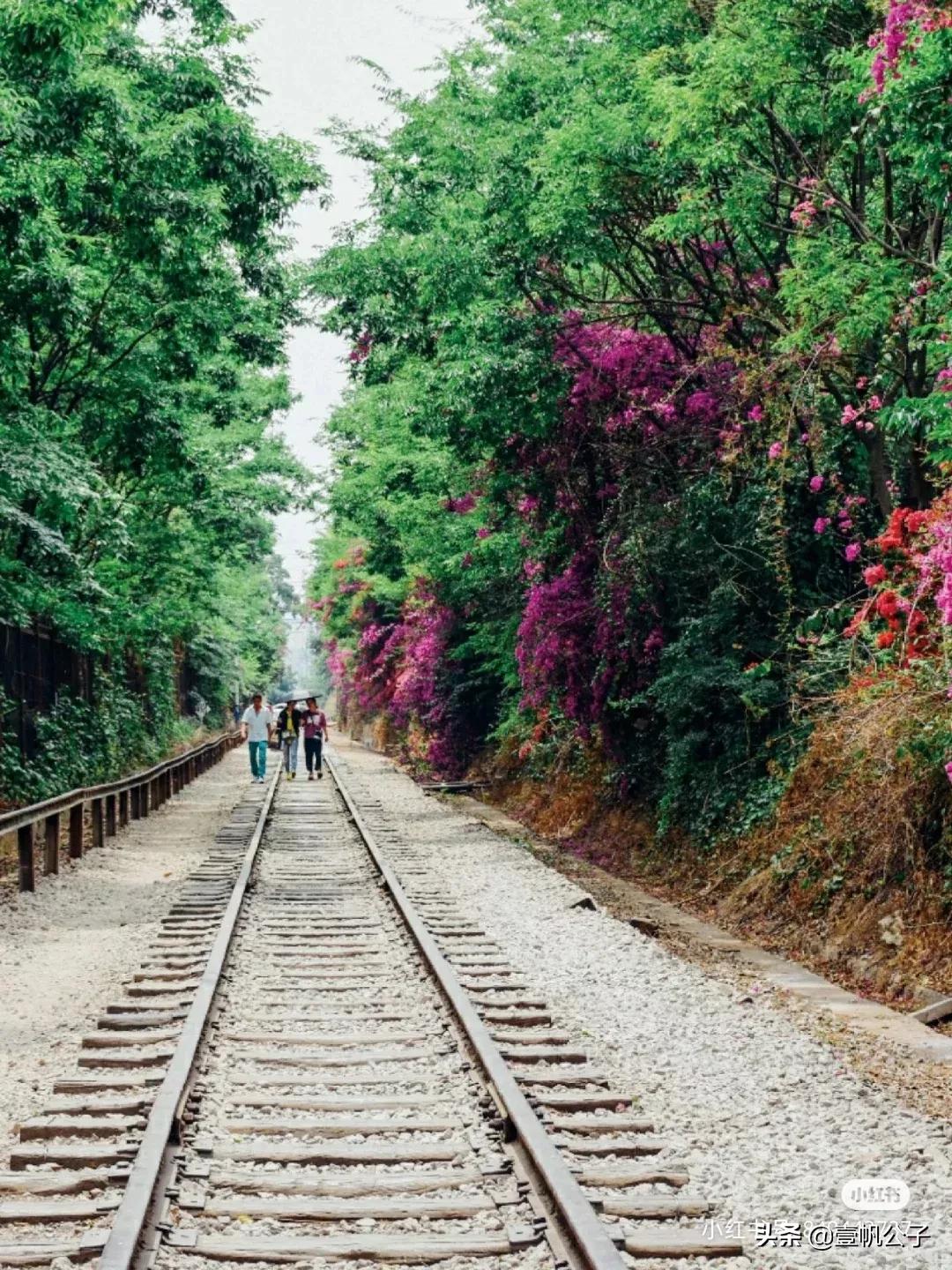 被大理的美景所折服,被丽江的风景美到了