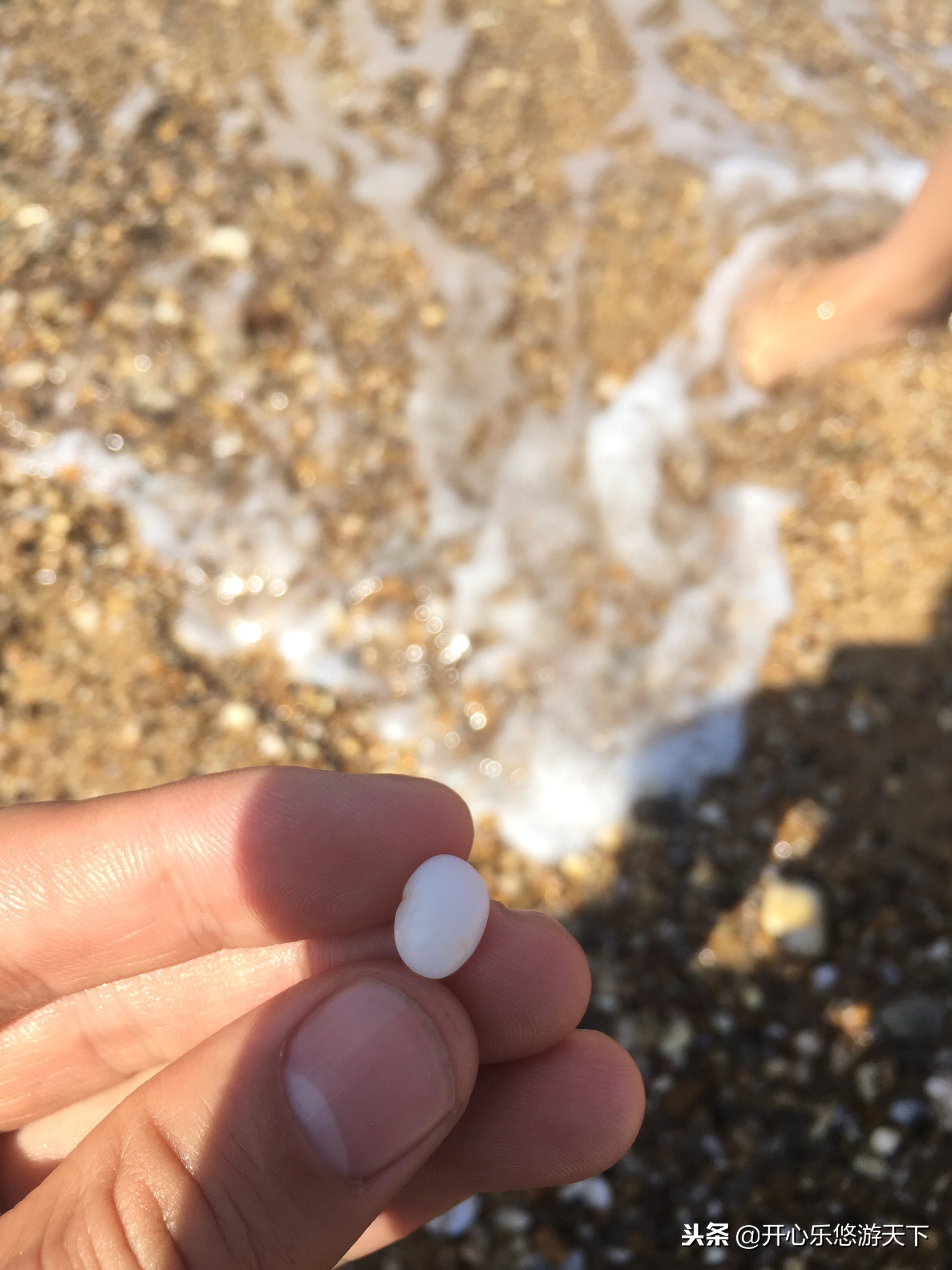 床车自驾海南环岛游视频,床车自驾海南