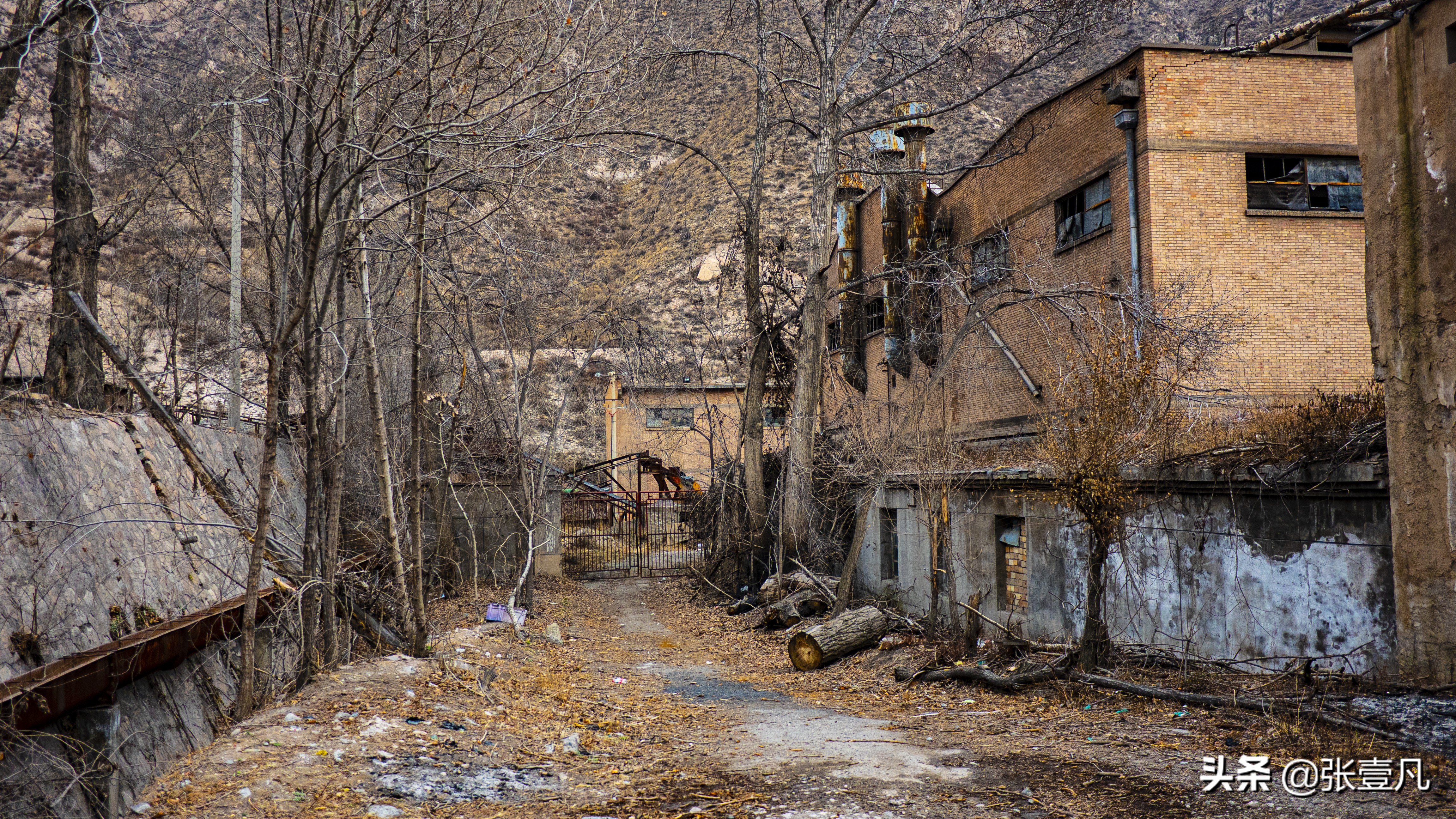 青海铸造厂建厂五十周年聚会,老青海铸造厂