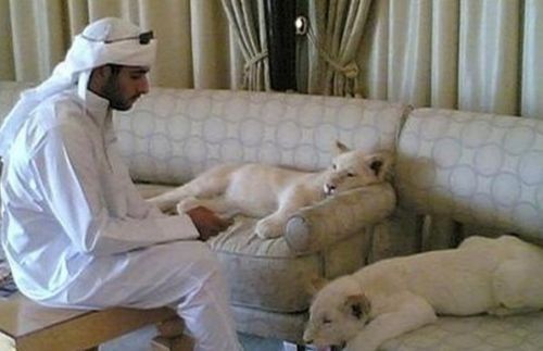 购物天堂迪拜最值得购买的东西有哪些