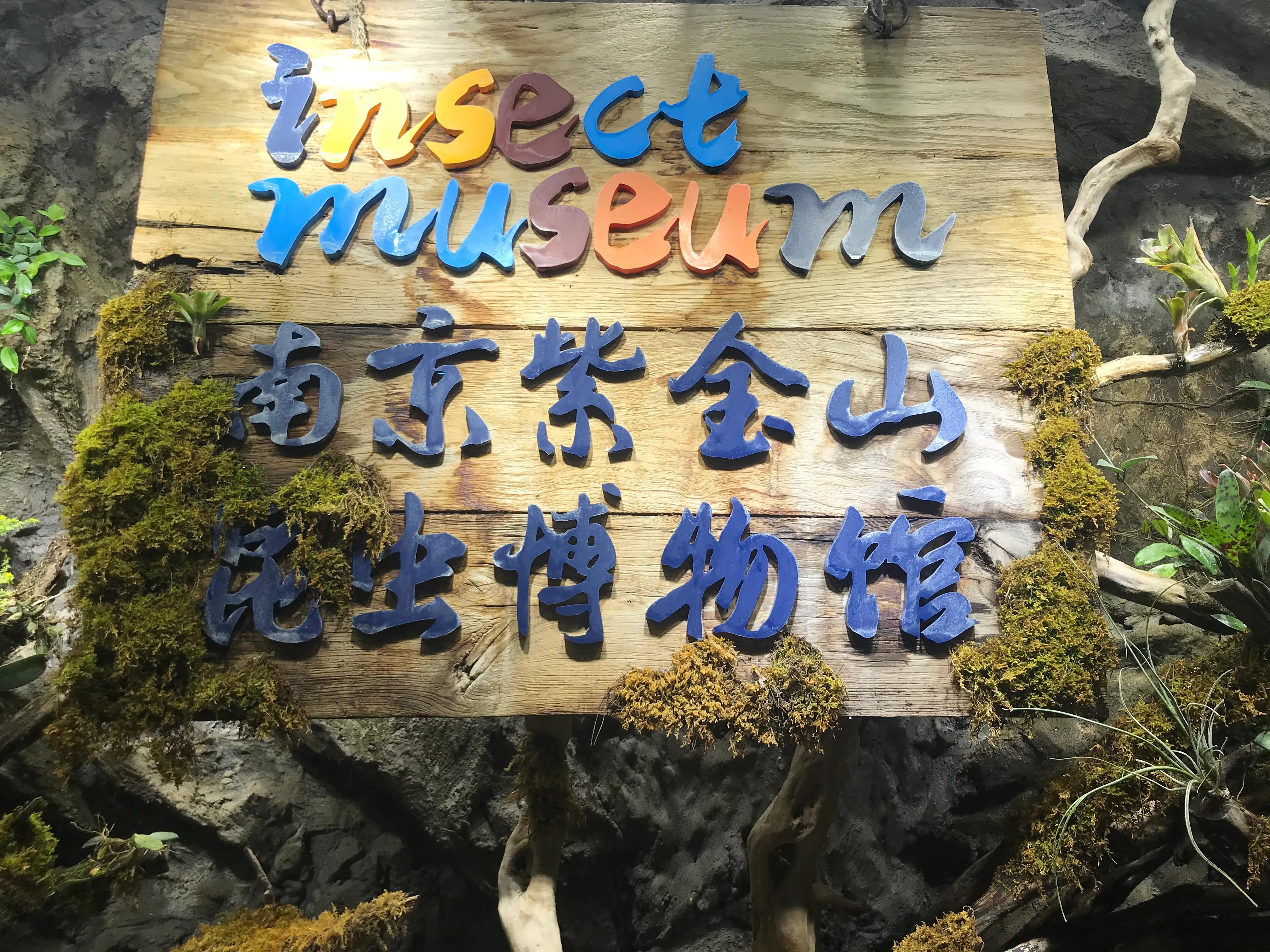 那些从小喜欢昆虫，又得到支持和尊重的孩子，活得到底有多爽？