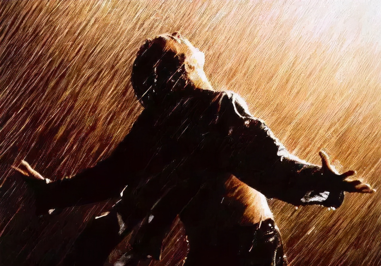 肖申克的救赎你仍身处牢笼,肖申克的救赎中救赎之道