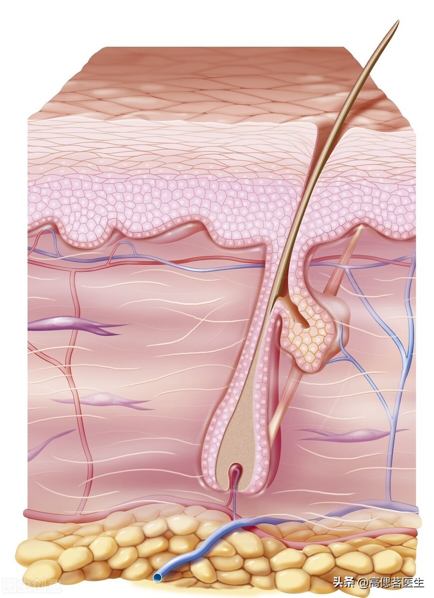 百草枯浸泡短裤中毒事件,百草枯擦妻子短裤中毒事件后续