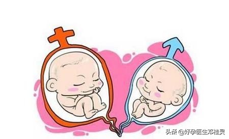 排卵试纸会受什么影响检测结果,排卵试纸是怎么看结果的