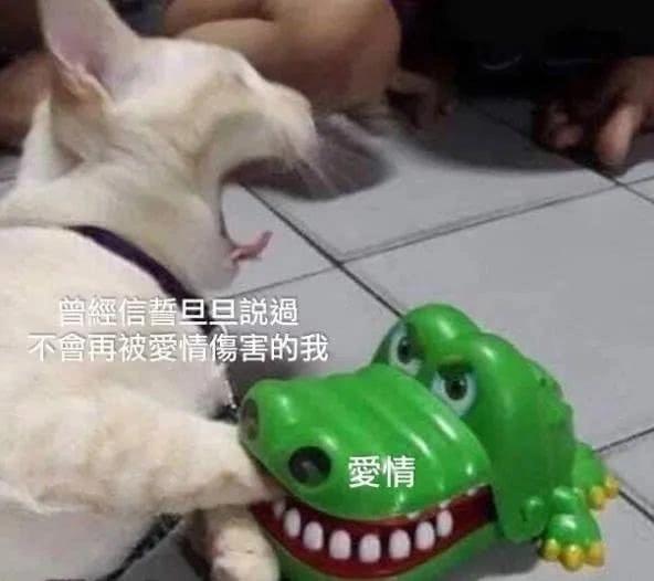 春天来了，家里的动物开始了兴奋，被困在家中的你该如何帮助它呢