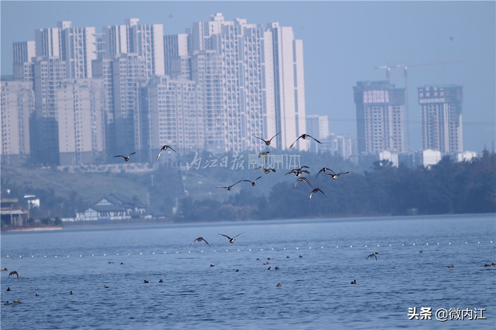 奋力建设美丽乡村,奋力打造景美民富幸福家园