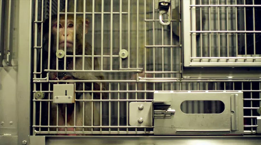 疫情期间发现的婚外情,一场疫情让我看清了婚外情