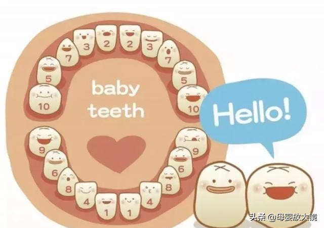 6个月宝宝发育训练方法,宝宝六个月养育指南